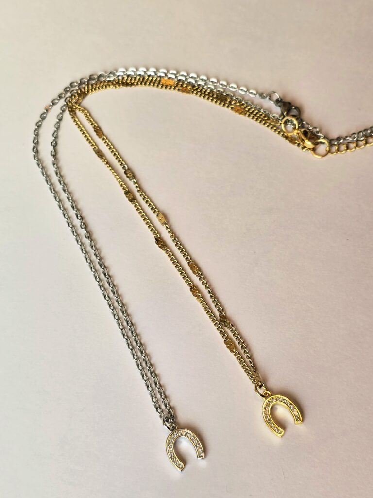 Horseshoe Stainless Steel Charm Necklace